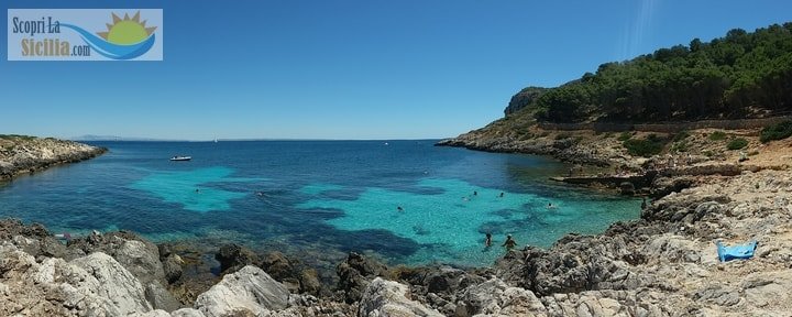 Cala Minnola a Levanzo e la sua pineta