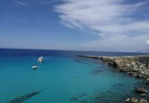 Vacanza a Favignana: itinerari e info utili Vacanza a Favignana, rappresentata da una panoramica della scogliera di Cala Rossa