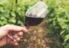 Calici di Stelle 2026: al via l’itinerario dell’enoturismo in Sicilia Un bicchiere di vino in campagna per parlare di Calici di Stelle 2026