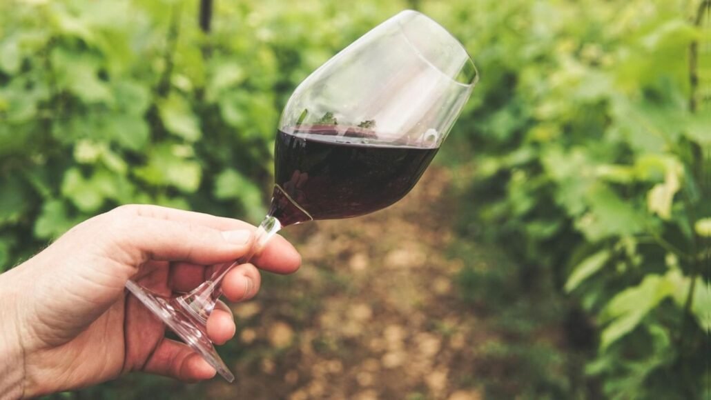 Un bicchiere di vino in campagna per parlare di Calici di Stelle 2026