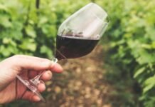Calici di Stelle 2026: al via l’itinerario dell’enoturismo in Sicilia Un bicchiere di vino in campagna per parlare di Calici di Stelle 2026