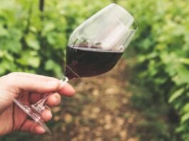 Calici di Stelle 2026: al via l’itinerario dell’enoturismo in Sicilia Un bicchiere di vino in campagna per parlare di Calici di Stelle 2026