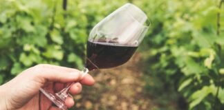 Calici di Stelle 2026: al via l’itinerario dell’enoturismo in Sicilia Un bicchiere di vino in campagna per parlare di Calici di Stelle 2026