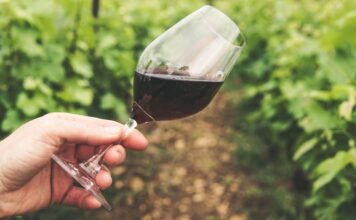 Calici di Stelle 2026: al via l’itinerario dell’enoturismo in Sicilia Un bicchiere di vino in campagna per parlare di Calici di Stelle 2026