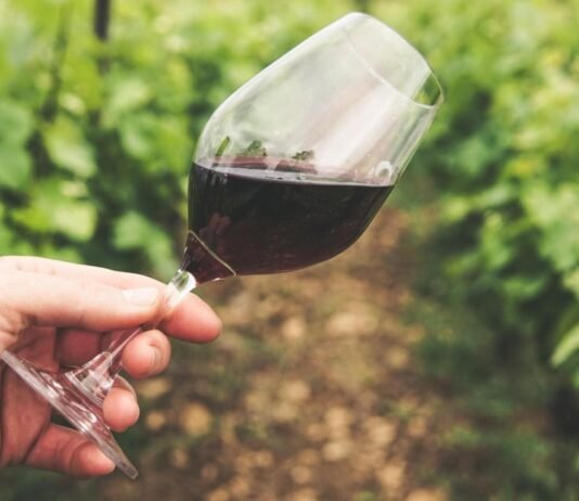 Calici di Stelle 2026: al via l’itinerario dell’enoturismo in Sicilia Un bicchiere di vino in campagna per parlare di Calici di Stelle 2026
