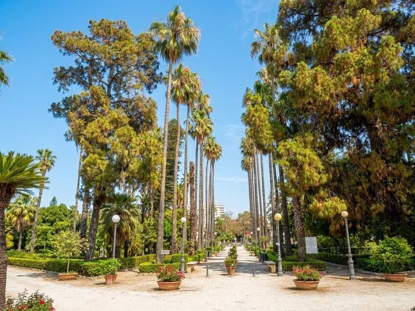 L'ingresso di Villa Giulia. Da notare i bellissimi esemplari di palme messicane, alte oltre 15 metri.