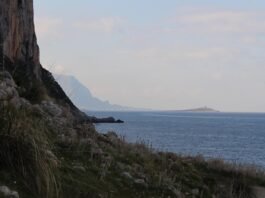 Snorkeling e tutela dell’ambiente: il 26 agosto la giornata educativa nell’Area Marina Protetta di Capo Gallo Uno scorci della Riserva Naturale di Capo Gallo, con l'Isola delle Femmine sullo sfondo