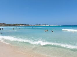 Estate 2026, 7 italiani su 10 restano in Italia: Sicilia in vetta alle preferenze La Spiaggia di San Vito lo Capo è uno de motivi per cui la Sicilia in vetta alle preferenze dei turisti nel 2026
