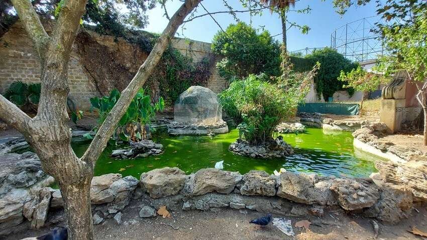 Lo stagno di Villa Giulia, in fondo al viale principale. Ci sono papere, anatre, tartarughe e pesci.