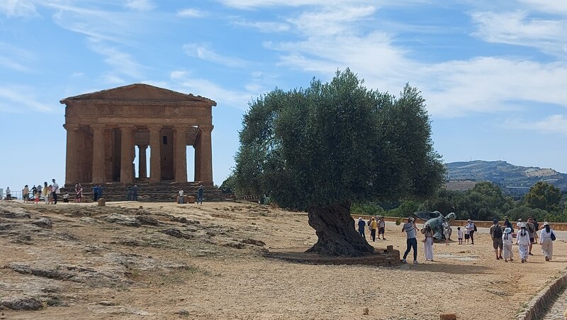 Il Tempio della Concordia visto dal lontano