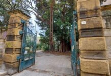 Wine Sicily 2026 a Palermo dal 9 all’11 ottobre: oltre 90 cantine a Villa Trabia Wine Sicily 2026 a Palermo dal 9 all'11 ottobre: oltre 90 cantine a Villa Trabia