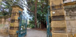 Wine Sicily 2026 a Palermo dal 9 all’11 ottobre: oltre 90 cantine a Villa Trabia Wine Sicily 2026 a Palermo dal 9 all'11 ottobre: oltre 90 cantine a Villa Trabia